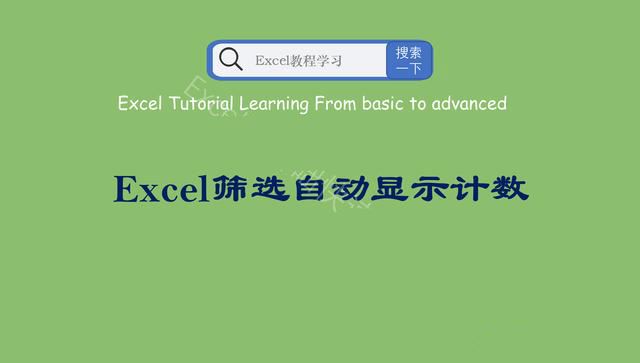 Excel筛选如何自动显示计数? excel表格筛选显示项目计数的技巧