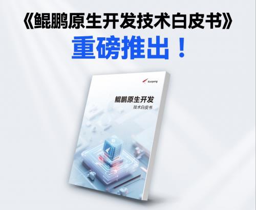 《鲲鹏原生开发技术白皮书》发布 携更多伙伴迈入原生开发新时代