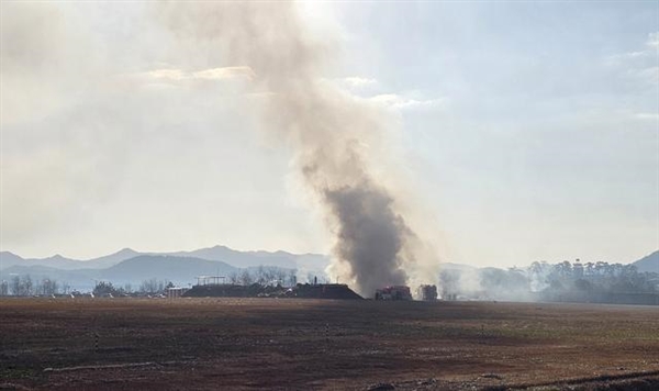 全球航空一天连发3次事故！阿航空难因客机遭地面攻击、韩国客机爆炸预计179人遇难 第7张