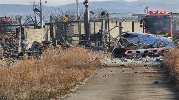 全球航空一天连发3次事故！阿航空难因客机遭地面攻击、韩国客机爆炸预计179人遇难 第6张