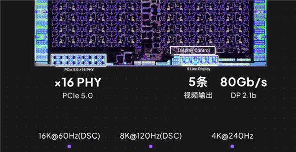 RTX 5090/D GB202内核照首次公开：922亿晶体管的暴力美学！ 第14张