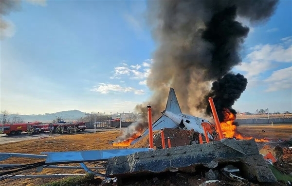 179人身亡 韩国公开空难发生前8分钟细节：与大量鸟类相撞