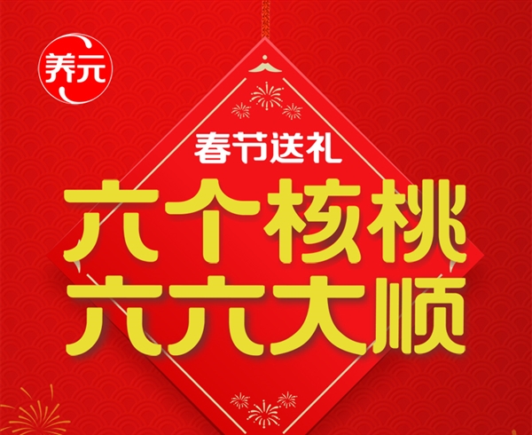 年货必备：六六大顺罐六个核桃16罐49.9元 次日达