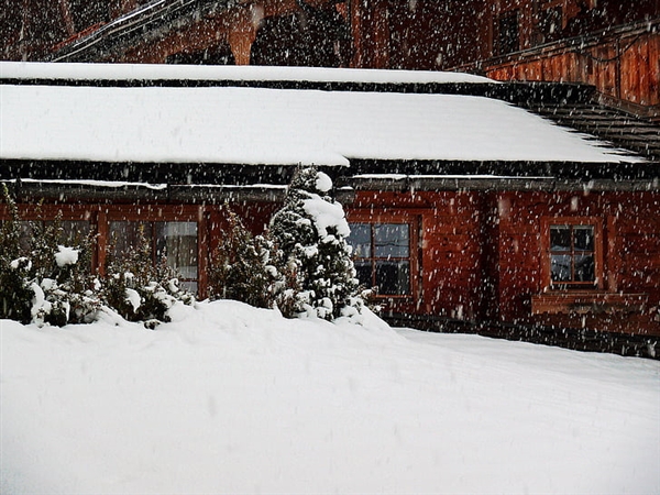 日本“灾害级大雪”来袭：官方呼吁非必要不外出