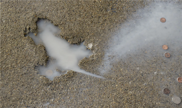 水泥地被老鼠砸出个坑 竟成网红打卡点：甚至还有人投币！ 第4张