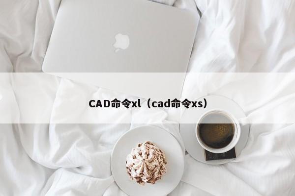 CAD命令xl（cad命令xs） 第1张