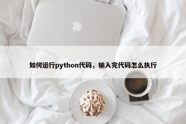 如何运行python代码，输入完代码怎么执行 第1张