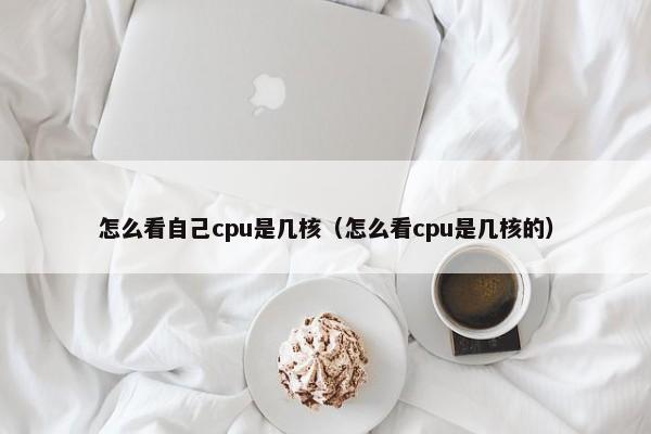 怎么看自己cpu是几核（怎么看cpu是几核的） 第1张