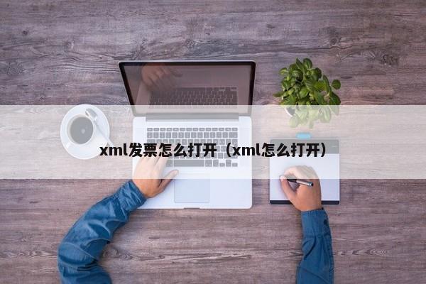 xml发票怎么打开（xml怎么打开）