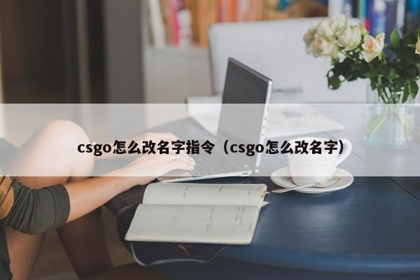 csgo怎么改名字指令（csgo怎么改名字） 第1张