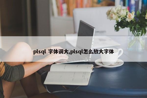 plsql 字体调大,plsql怎么放大字体