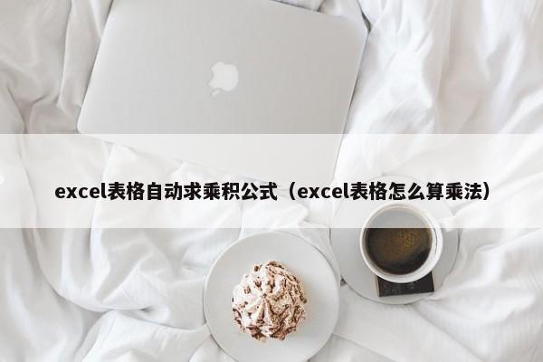 excel表格自动求乘积公式（excel表格怎么算乘法） 第1张