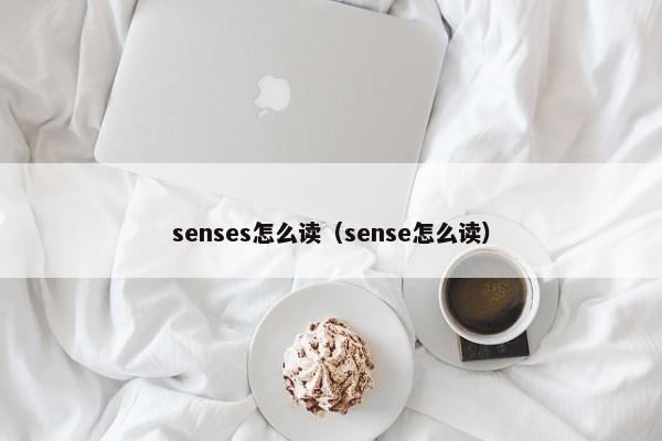 senses怎么读（sense怎么读）